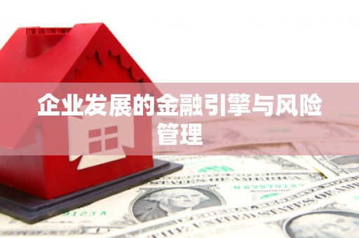 凤山企业发展的金融引擎与风险管理