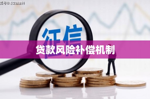 凤山贷款风险补偿机制
