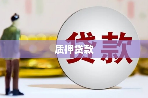 凤山质押贷款