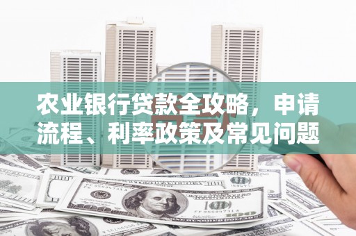 凤山农业银行贷款全攻略，申请流程、利率政策及常见问题解析