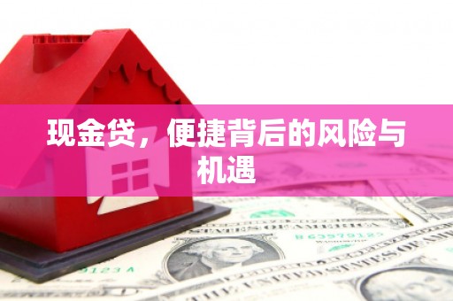 凤山现金贷，便捷背后的风险与机遇