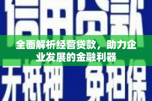 凤山全面解析经营贷款，助力企业发展的金融利器