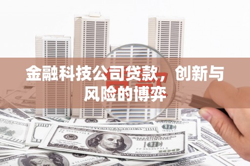 凤山金融科技公司贷款，创新与风险的博弈