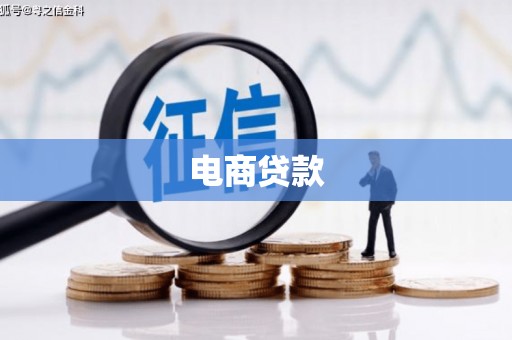 凤山电商贷款