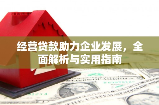 凤山经营贷款助力企业发展，全面解析与实用指南