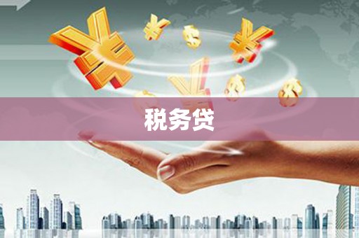 凤山税务贷