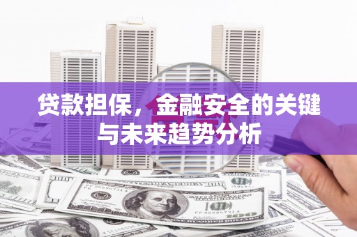 凤山贷款担保，金融安全的关键与未来趋势分析