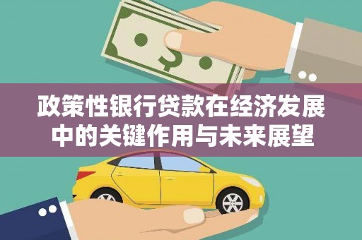凤山政策性银行贷款在经济发展中的关键作用与未来展望