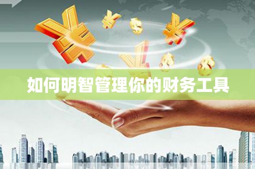 凤山如何明智管理你的财务工具