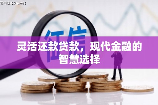 凤山灵活还款贷款，现代金融的智慧选择