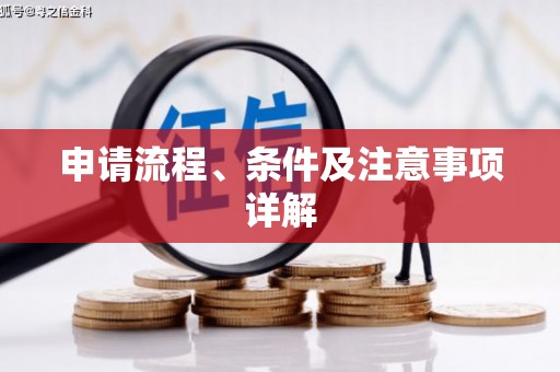 凤山申请流程、条件及注意事项详解