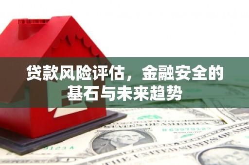 凤山贷款风险评估，金融安全的基石与未来趋势