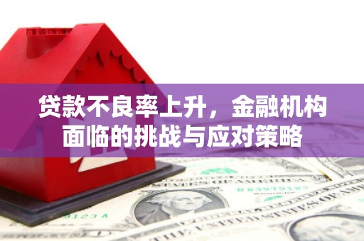 凤山贷款不良率上升，金融机构面临的挑战与应对策略