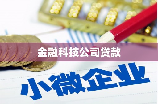 凤山金融科技公司贷款