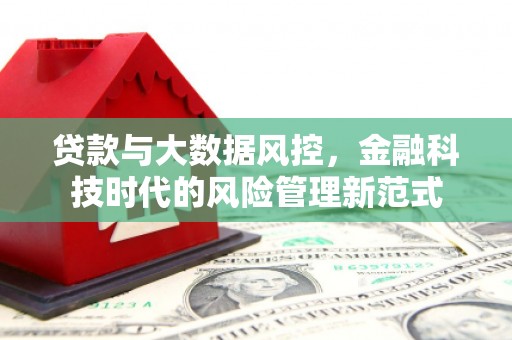 凤山贷款与大数据风控，金融科技时代的风险管理新范式