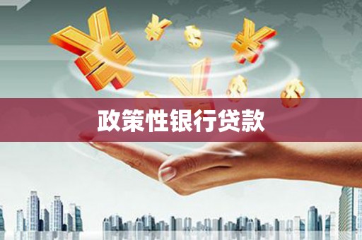 凤山政策性银行贷款
