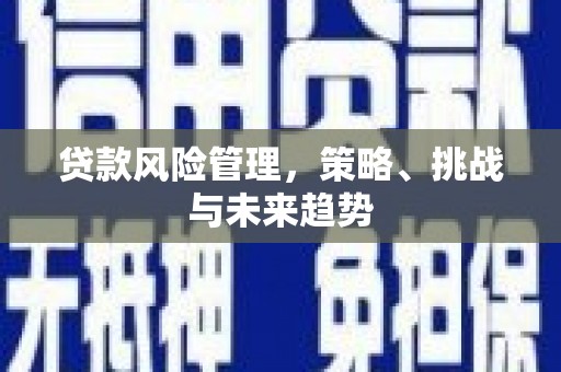 凤山贷款风险管理，策略、挑战与未来趋势