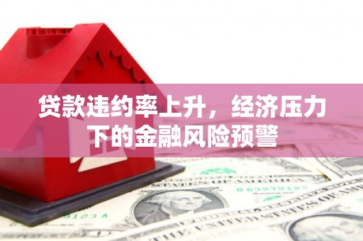 凤山贷款违约率上升，经济压力下的金融风险预警