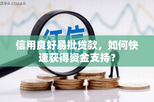 凤山信用良好易批贷款，如何快速获得资金支持？