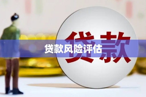 凤山贷款风险评估