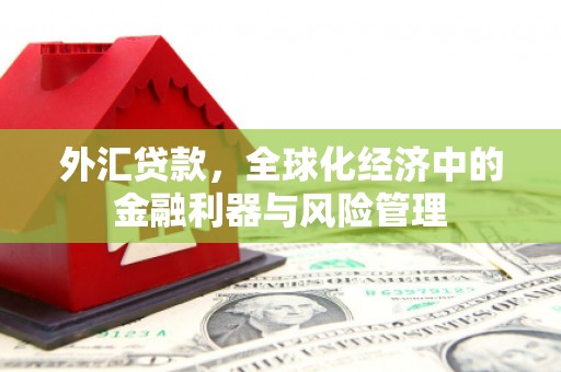凤山外汇贷款，全球化经济中的金融利器与风险管理