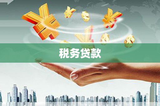 凤山税务贷款