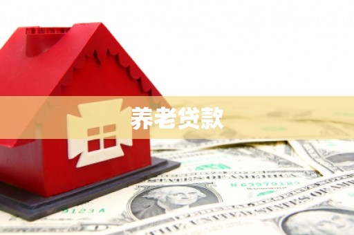 凤山养老贷款