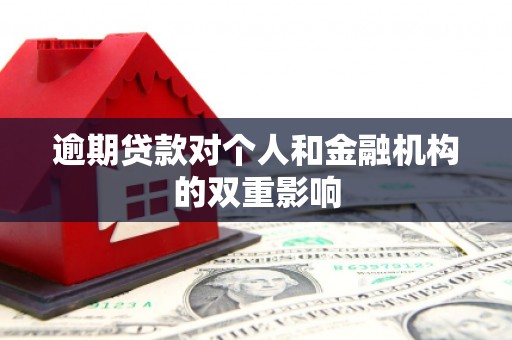 凤山逾期贷款对个人和金融机构的双重影响