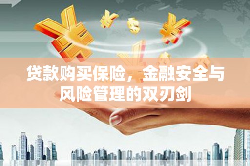 凤山贷款购买保险，金融安全与风险管理的双刃剑