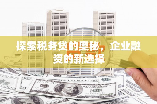 凤山探索税务贷的奥秘，企业融资的新选择