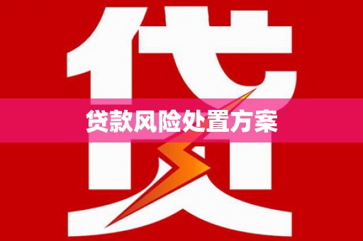 凤山贷款风险处置方案