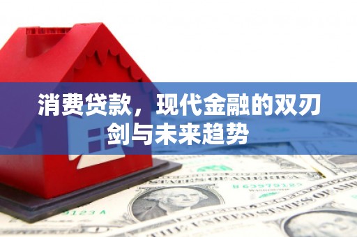 凤山消费贷款，现代金融的双刃剑与未来趋势