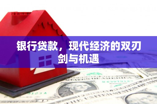 凤山银行贷款，现代经济的双刃剑与机遇