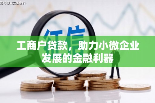 凤山工商户贷款，助力小微企业发展的金融利器