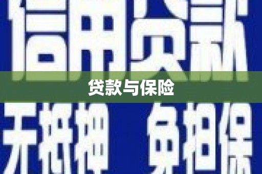 凤山贷款与保险