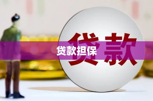 凤山贷款担保