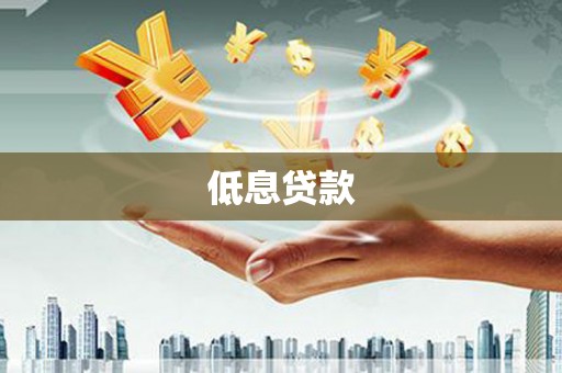 凤山低息贷款