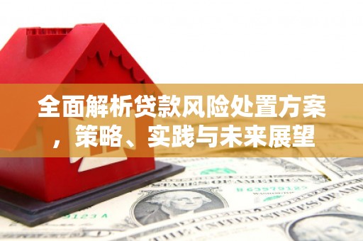 凤山全面解析贷款风险处置方案，策略、实践与未来展望
