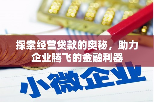 凤山探索经营贷款的奥秘，助力企业腾飞的金融利器