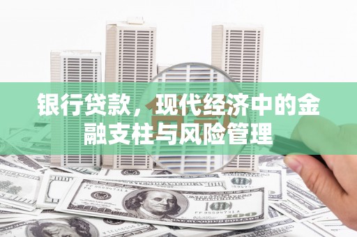 凤山银行贷款，现代经济中的金融支柱与风险管理