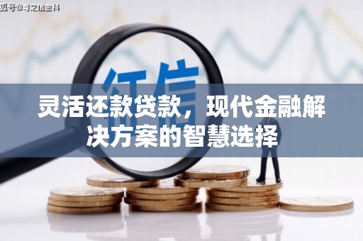 凤山灵活还款贷款，现代金融解决方案的智慧选择