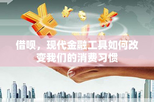 凤山借呗，现代金融工具如何改变我们的消费习惯