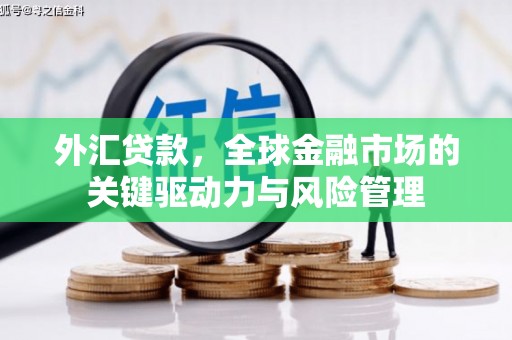 凤山外汇贷款，全球金融市场的关键驱动力与风险管理