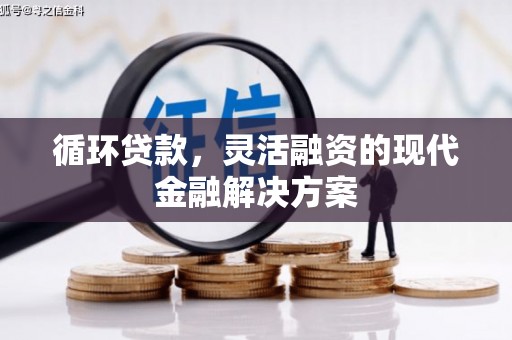 凤山循环贷款，灵活融资的现代金融解决方案