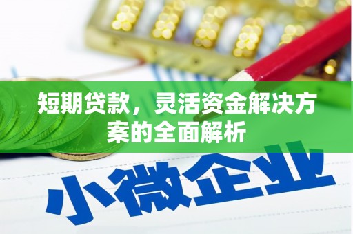 凤山短期贷款，灵活资金解决方案的全面解析