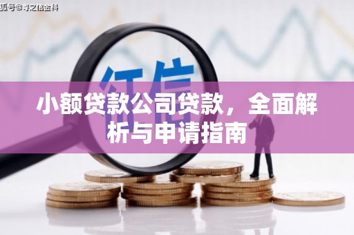凤山小额贷款公司贷款，全面解析与申请指南