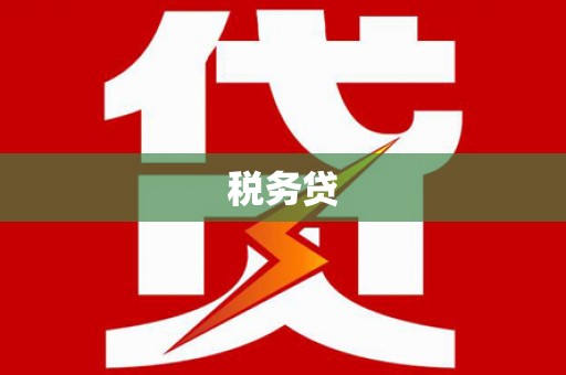 凤山税务贷