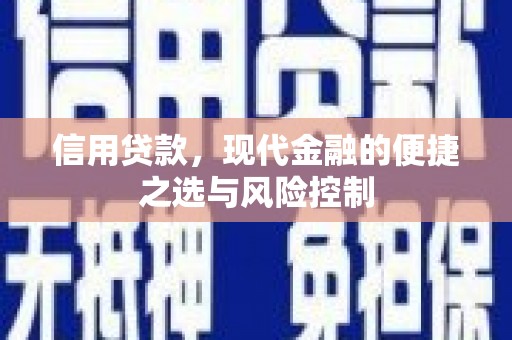 凤山信用贷款，现代金融的便捷之选与风险控制