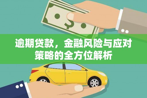 凤山逾期贷款，金融风险与应对策略的全方位解析