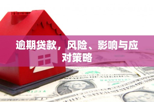 凤山逾期贷款，风险、影响与应对策略
